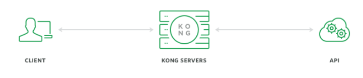KONG Servers graphic